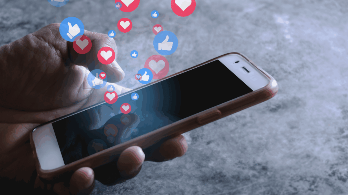 Generation Y1 and Y2 Millennial Segments - Image 1